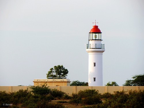 POINT_CALIMERE_LIGHTHOUSE