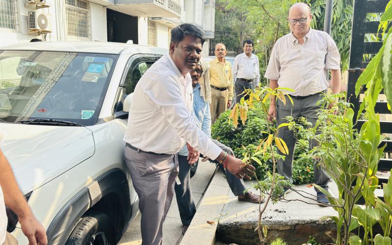 Dgll Plants trees on World Environment Day