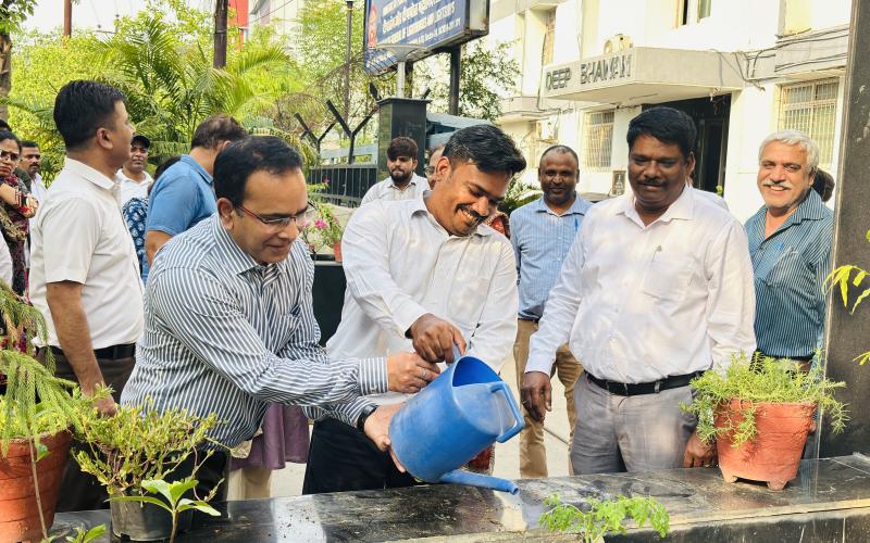 Dgll Plants trees on World Environment Day