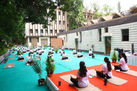 11th International Day of Yoga
