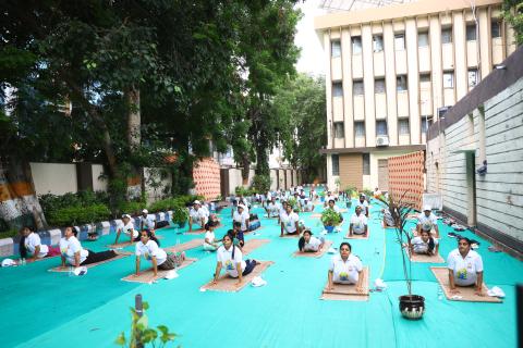 11th International Day of Yoga