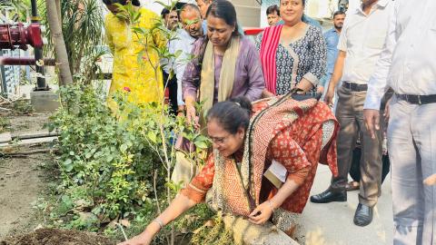 विश्व पर्यावरण दिवस के अवसर पर डीजीएलएल द्वारा वृक्षारोपण किया गया