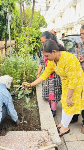 विश्व पर्यावरण दिवस के अवसर पर डीजीएलएल द्वारा वृक्षारोपण किया गया
