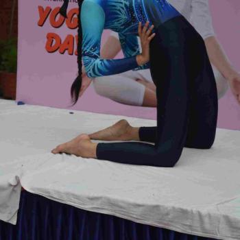 International Yoga Day 2023 (Noida)